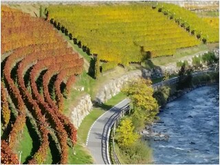 Appartamento per vacanze Marling Ambiente 38