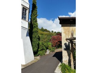 Appartamento per vacanze Marling Ambiente 39