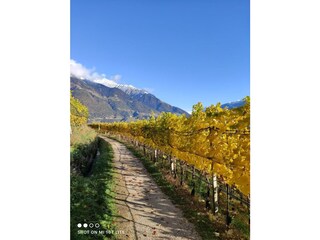 Appartamento per vacanze Marling Ambiente 40