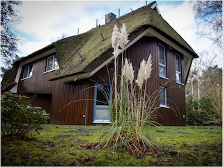 Gartenansicht auf Haus 4