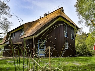 Haus Vier