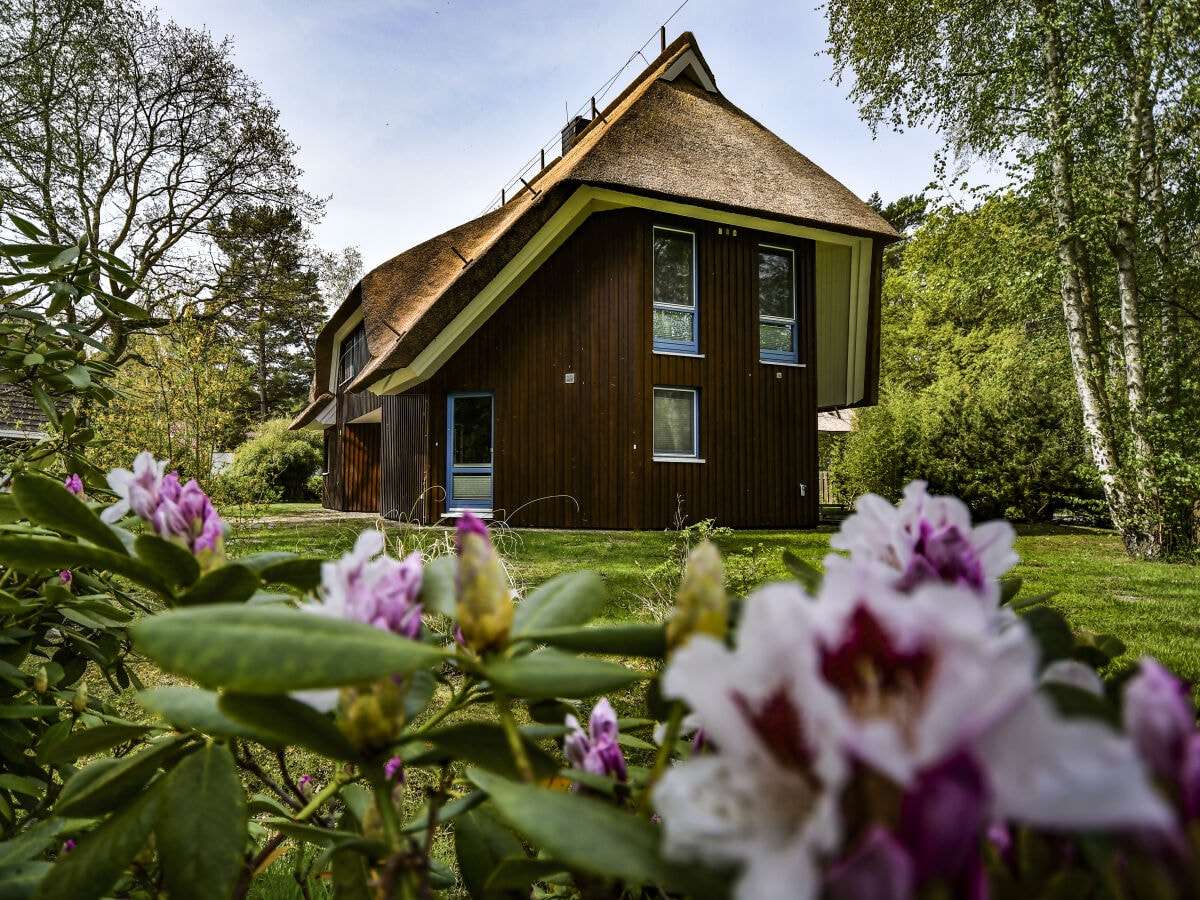 Ferienhaus Kiek Oever 4 Zingst