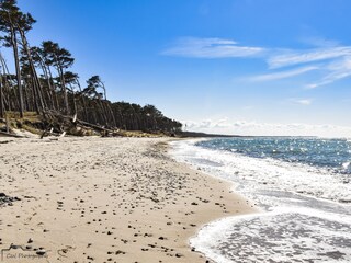 Ausflug zum Weststrand
