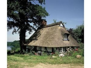 Landhaus Reetdachkate - Schellhorn - image1