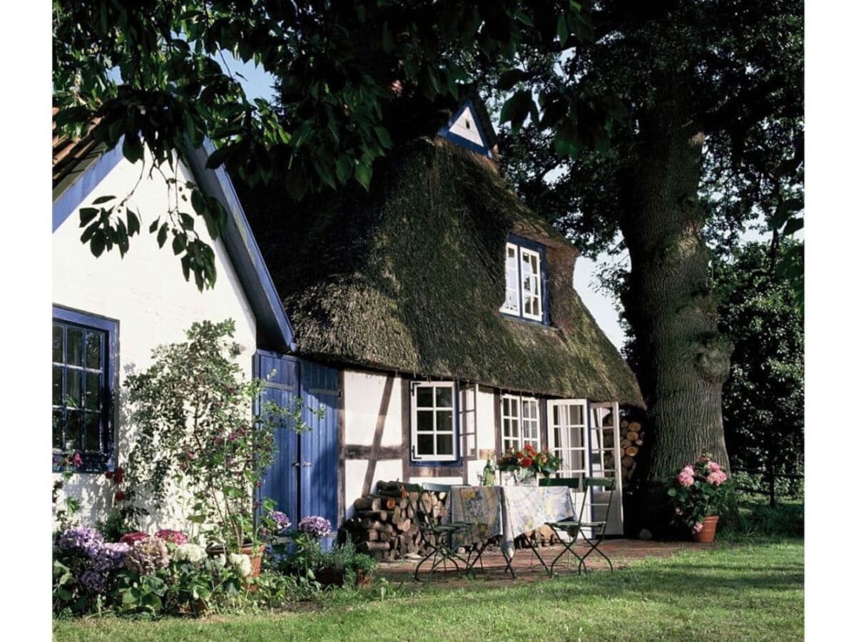 Terrasse und Garten