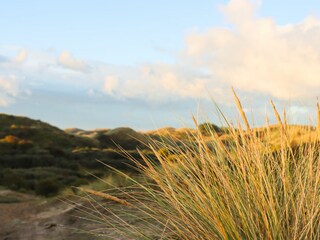 Appartamento Egmond aan Zee Ambiente 18