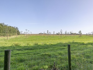 Wiese neben dem Haus