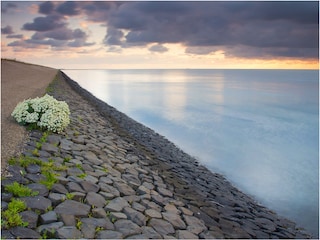 Wattenmeer