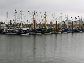 Appartamento per vacanze Norddeich Ambiente 13