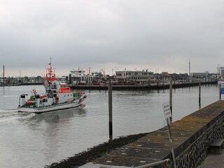 Appartamento per vacanze Norddeich Ambiente 19