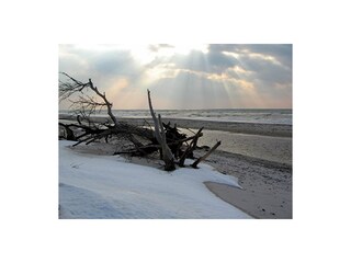 Winterimpressionen am Weststrand