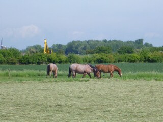 Vakantiehuis Oostkapelle Omgeving 17