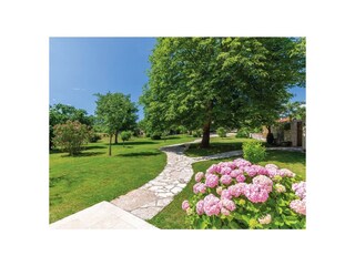 Villa Žminj Registrazione all'aperto 14