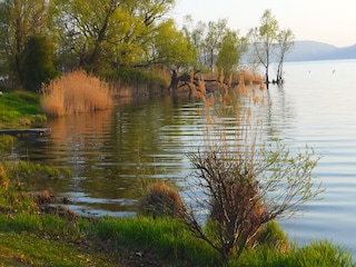 Ferienhaus Varese Außenaufnahme 10