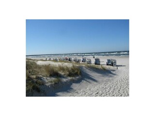 Ferienwohnung Prerow Umgebung 15