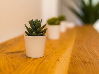 Villa Svetvinčenat Caratteristiche 22