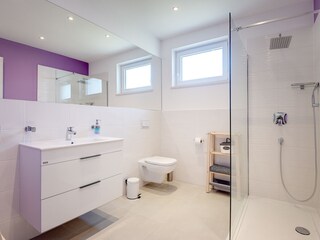 Villa Svetvinčenat Caratteristiche 26