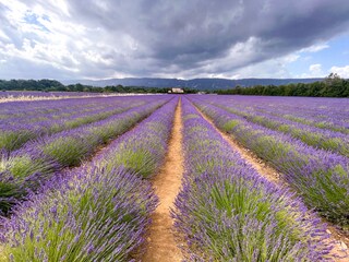 Casa per le vacanze Oppède Ambiente 15