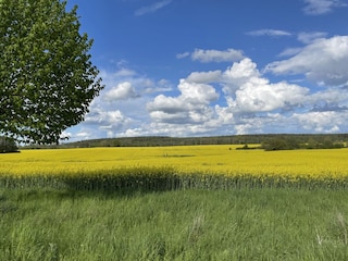 Anfahrt