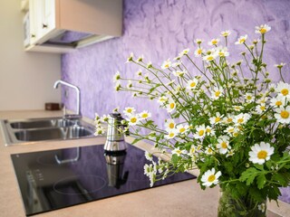 Appartamento Tignale Caratteristiche 27