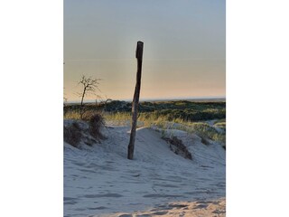 Ferienwohnung Borkum Umgebung 16