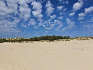 Ferienwohnung Borkum Umgebung 17