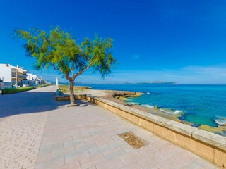 Apartamento de vacaciones Can Picafort Entorno 33