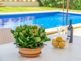 Villa Llubi Registrazione all'aperto 13