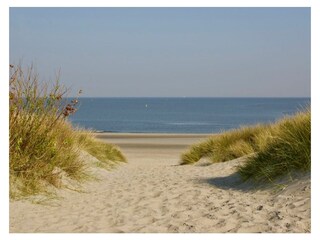 Villa Kamperland Ambiente 17