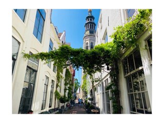 Villa Kamperland Ambiente 18