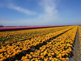 Casa per le vacanze Breezand Ambiente 30