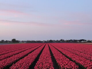 Casa per le vacanze Breezand Ambiente 32