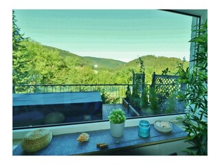 Aussicht - Fewo Haus Bellevue****