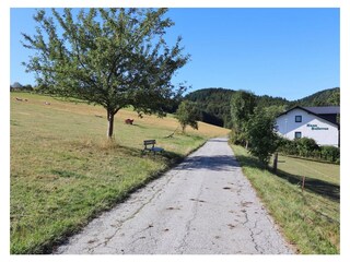 Haus Bellevue in herrlicher Natur und zentrumsnah (2,2km)
