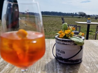 Aparol am Kliff in Morsum