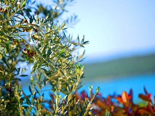 Villa Valtura Registrazione all'aperto 12