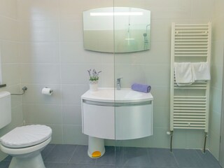 Casa per le vacanze Svetvinčenat Caratteristiche 29