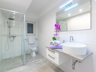 Villa Svetvinčenat Caratteristiche 33