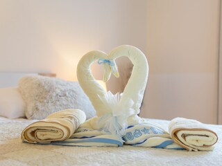 Villa Svetvinčenat Caratteristiche 26