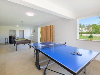 Villa Svetvinčenat Ambiente 40