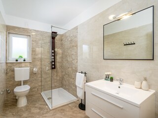 Villa Svetvinčenat Caratteristiche 37