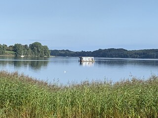 Schlei