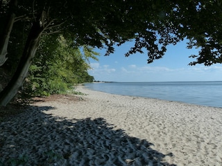 Der schöne Strand am Stettiner Haff