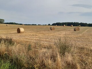 Felder im Herbst