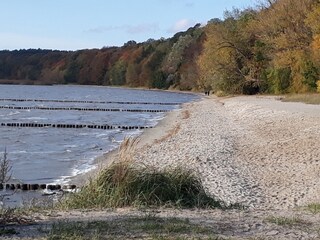 Badestrand von  Kamminke