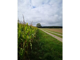Usedomer Land