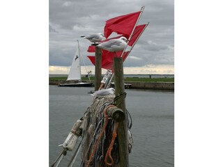 Hafen Kamminke im Herbst