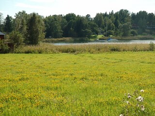 Meadow next to cottage (cottage in upper right corner).