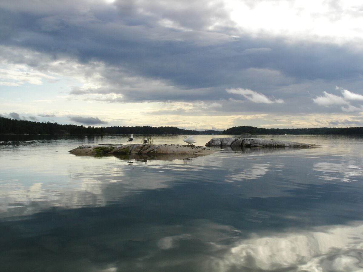 Foto 5 min von der Hütte mit Ruderboot entfernt.