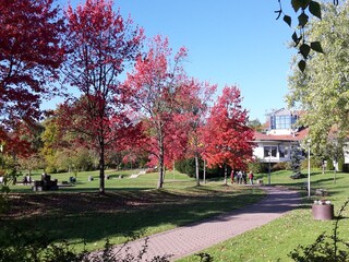 Appartamento per vacanze Hahnenklee Ambiente 21